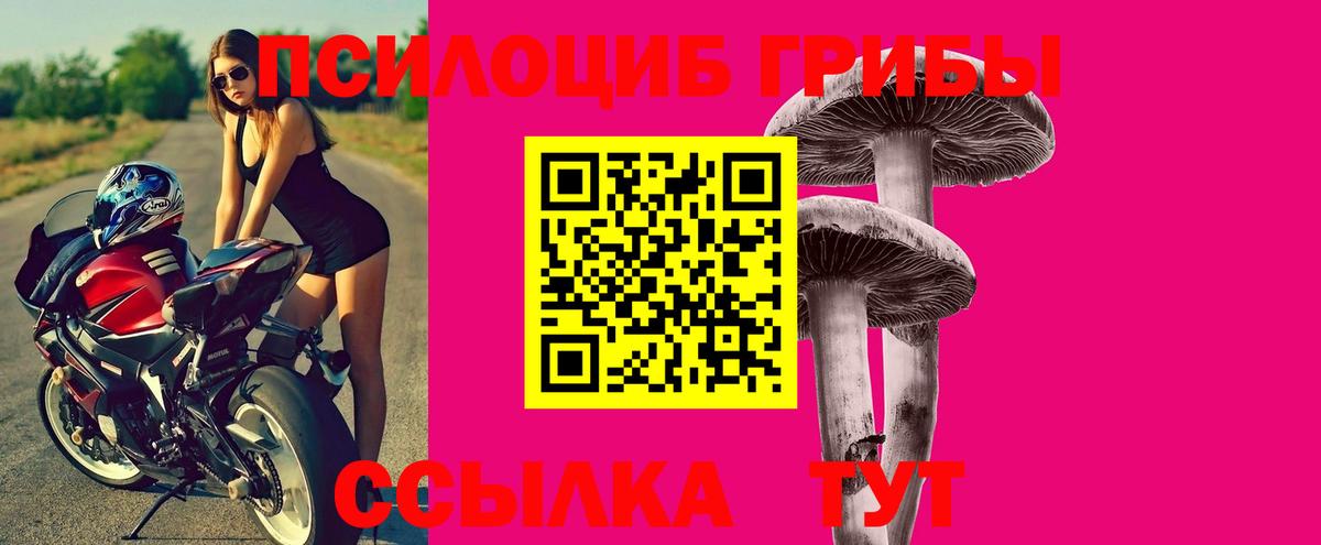 Псилоцибиновые грибы Psilocybine cubensis  Вход с VPN  Псилоцибиновые грибы Psilocybine cubensis  Улан-Удэ 