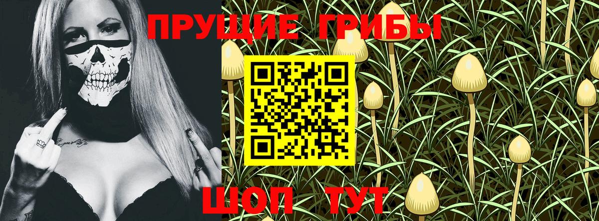 Галлюциногенные грибы Magic Shrooms Улан-Удэ